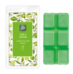 SQUARE WAX MELTS - LIME & GINGER